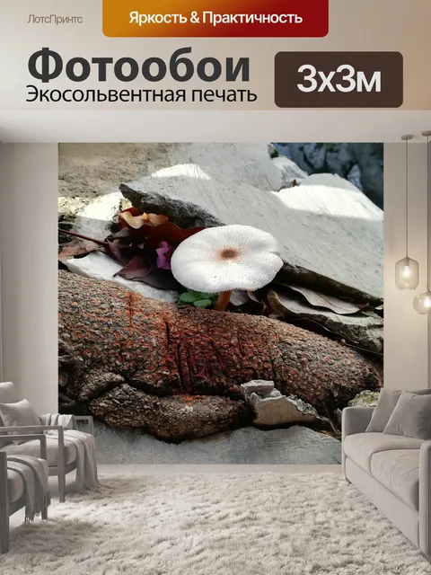 Фотообои Белый гриб