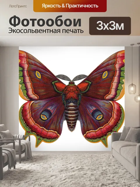 Фотообои Бабочка Винтажное Искусство