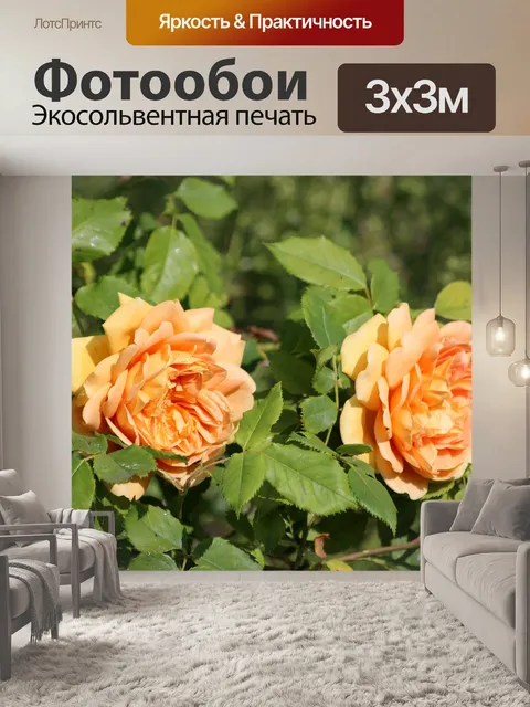 Фотообои Розы