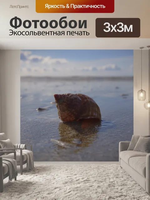 Фотообои морская ракушка