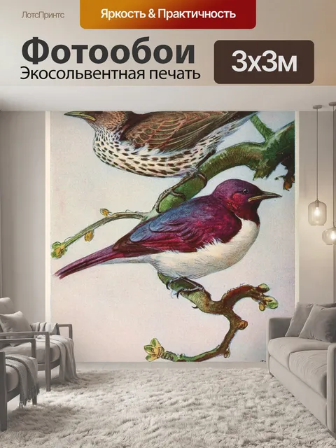 Фотообои Птица винтаж искусство старый