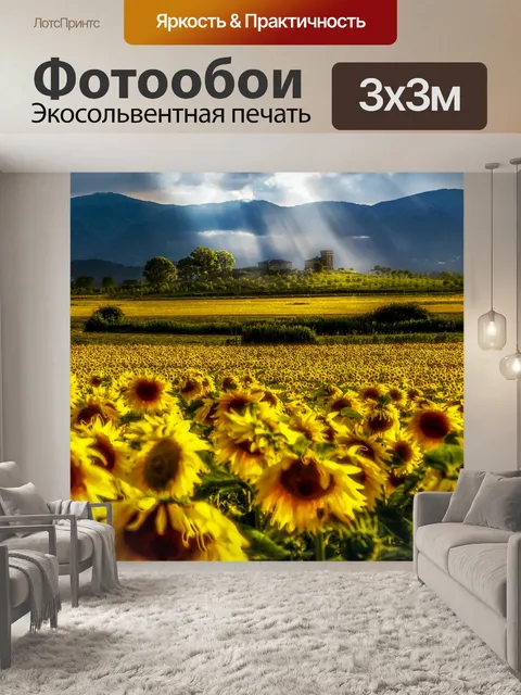 Фотообои Подсолнухи