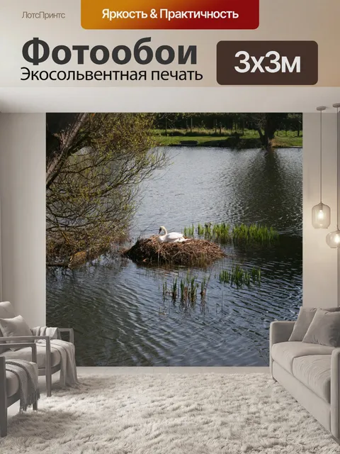 Фотообои Лебедь на гнездо 2