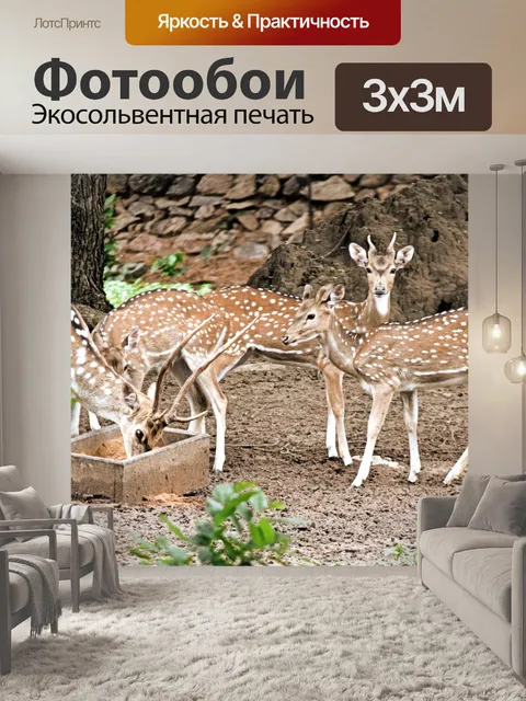 Фотообои Пятнистый олень 8
