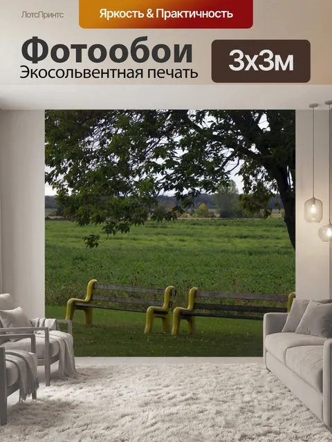 Фотообои скамейки на даче