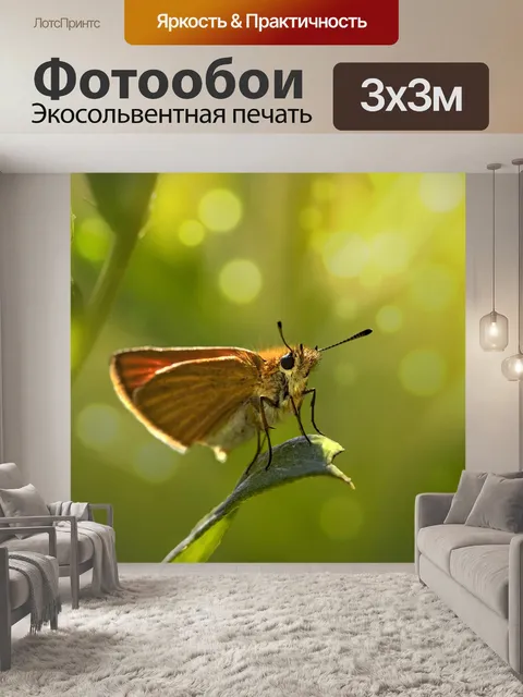 Фотообои Бабочка