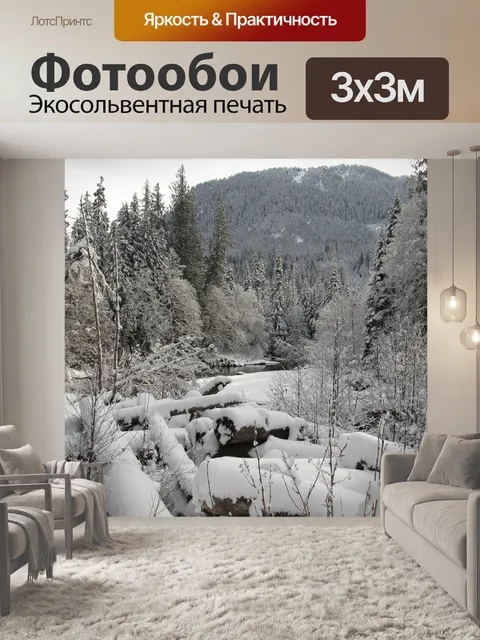 Фотообои Затормозил