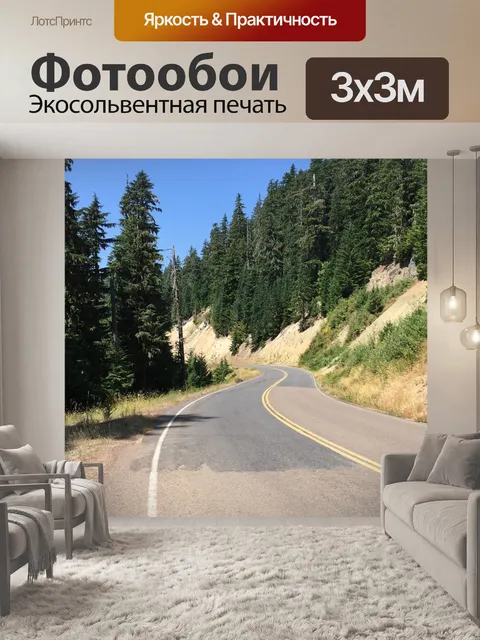 Фотообои Дорога
