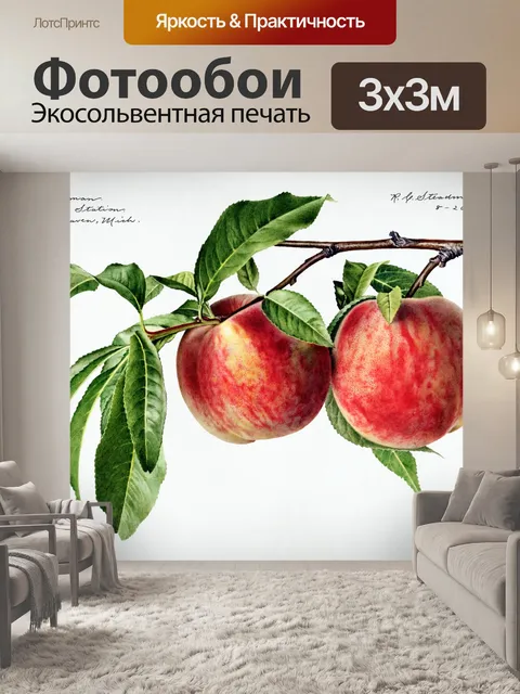 Фотообои Фруктовое винтажное искусство