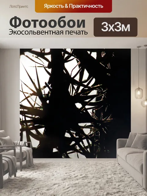 Фотообои силуэт растения эпифит