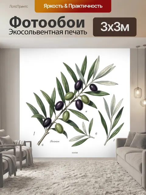 Фотообои Ветвь оливы с плодами