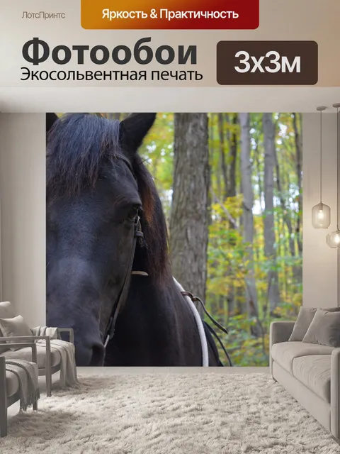 Фотообои Верховая лица