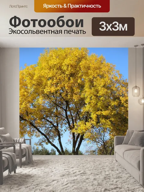 Фотообои Дерево
