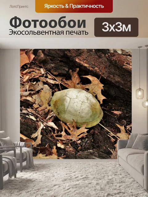 Фотообои Ящик черепахи в пустотелый журнал