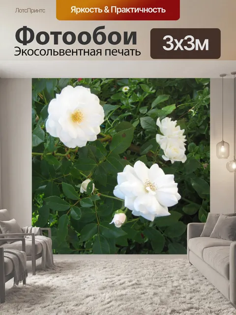 Фотообои Буш роз