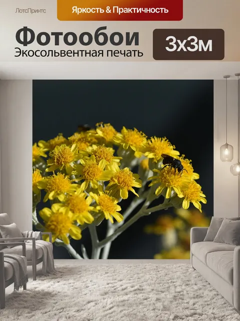 Фотообои Цветы