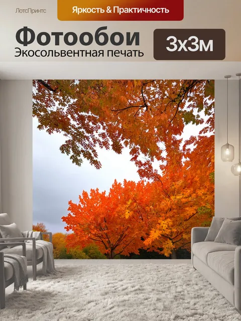 Фотообои оранжевый цвет, представляют осенние деревья, усыпанными оранжевыми и желтыми листьями на фоне серого неба