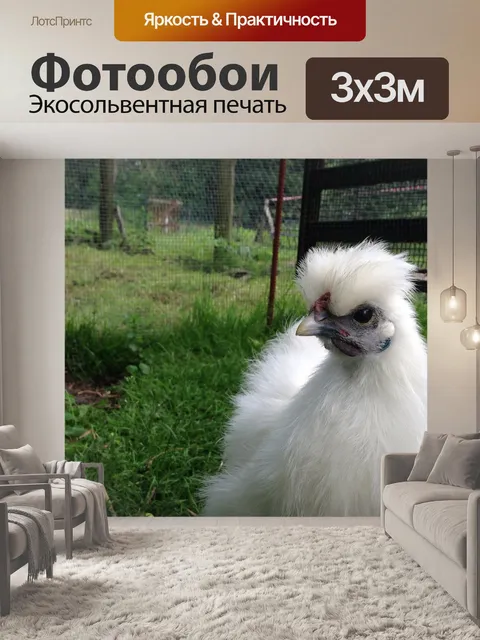 Фотообои Seidenhuhn