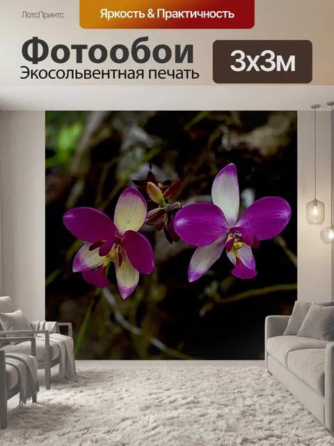 Фотообои Erdorchidee