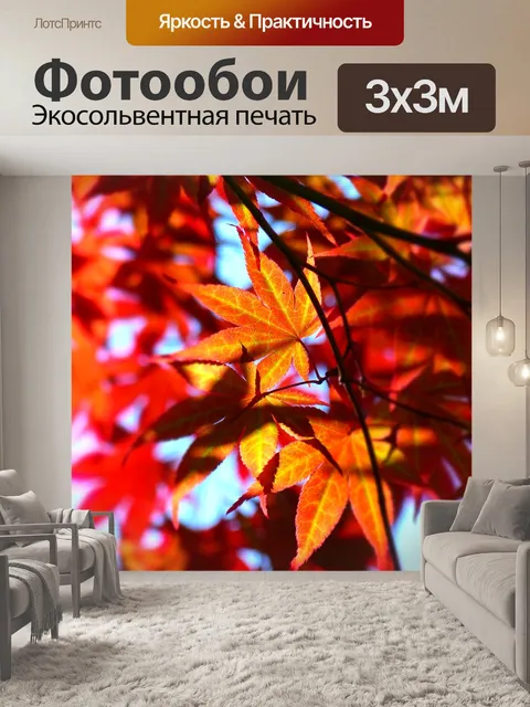 Фотообои Красный