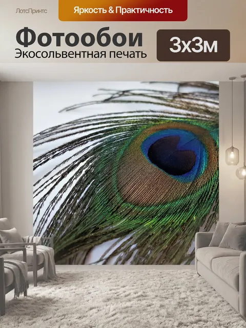 Фотообои Перо