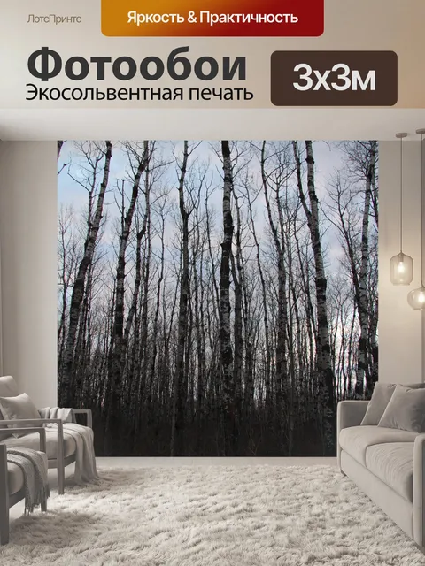 Фотообои Тополь осина