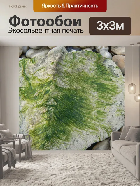 Фотообои Мосс