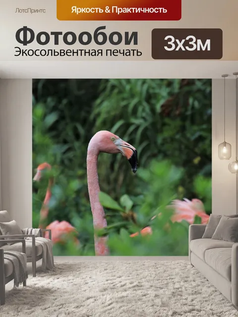 Фотообои Птицы