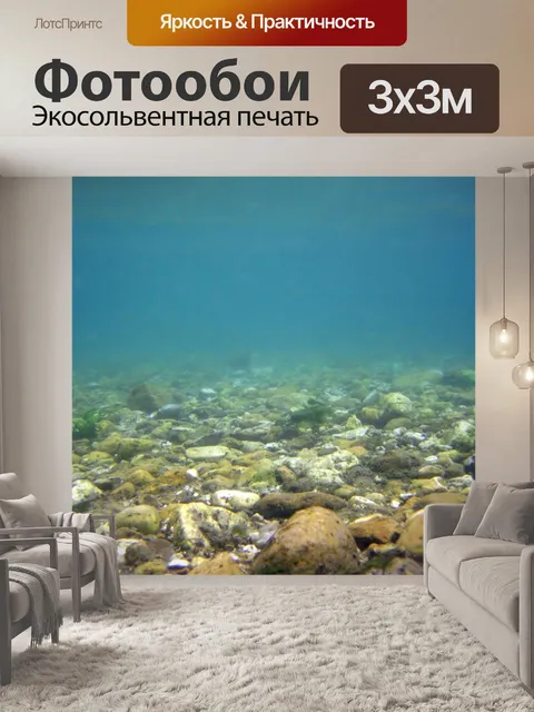 Фотообои дно реки