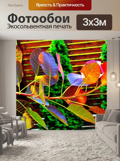 Фотообои Színes