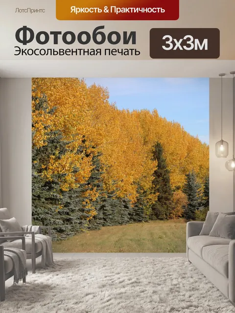 Фотообои Желтая осина и ель
