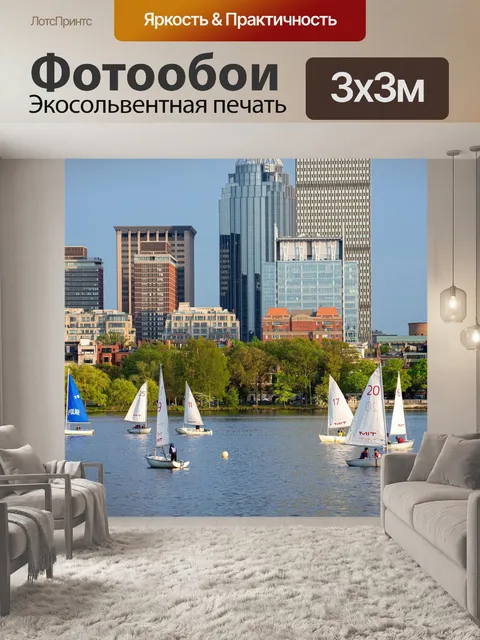 Фотообои Чарльз ривер