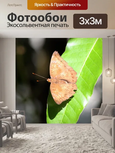 Фотообои Желтая бабочка на зеленом отпуск
