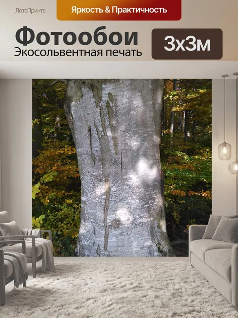 Фотообои Книжный мастер