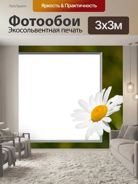 Фотообои Рамка, ромашка
