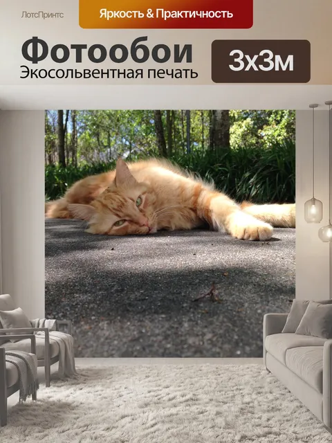 Фотообои Кошка