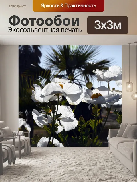Фотообои Матилия Маки