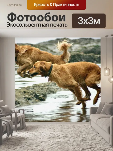 Фотообои Собаки
