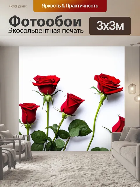 Фотообои цветы в стиле минимализм с красными розами и простыми линиями на белом фоне