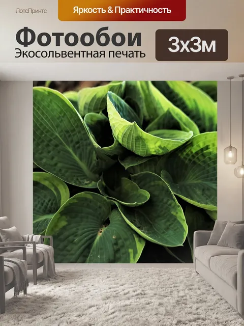 Фотообои Хоста завод крупным планом