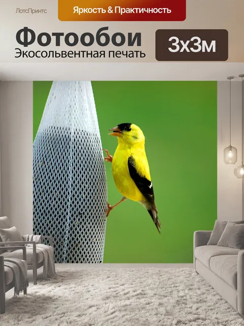 Фотообои Щегол Питание