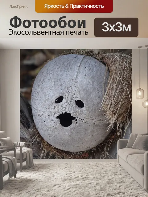 Фотообои Кокос