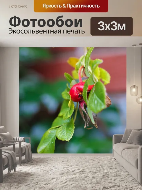 Фотообои Трава
