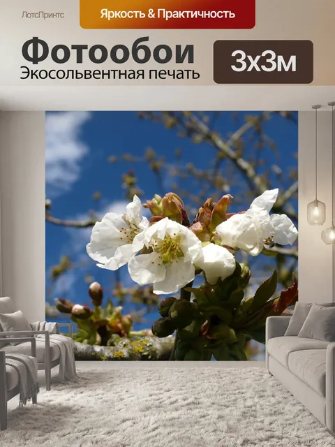 Фотообои Цветы яблони