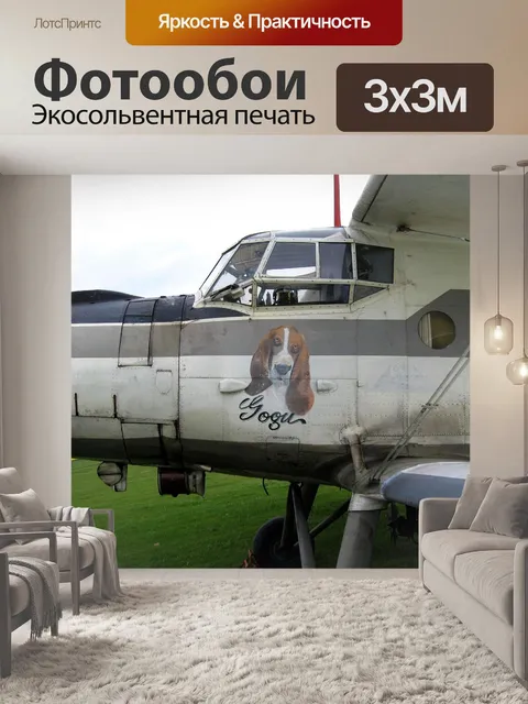 Фотообои Биплан