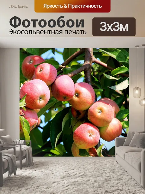 Фотообои Яблоня