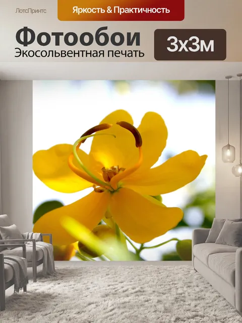 Фотообои Цветок