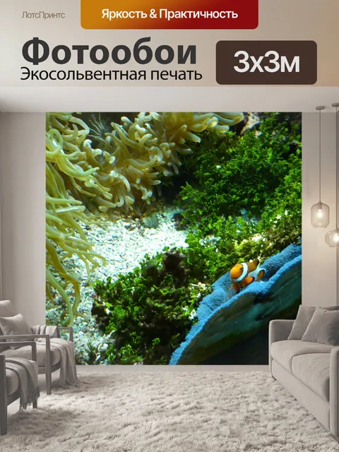 Фотообои Риф