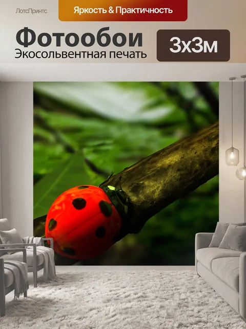 Фотообои божья коровка
