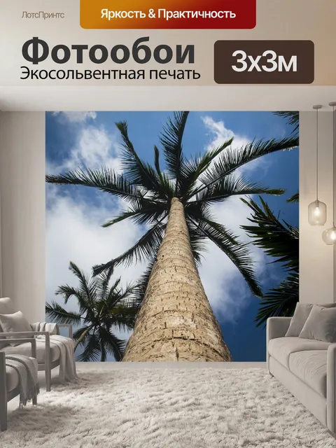 Фотообои Пальмы